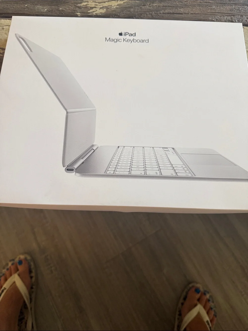 Apple Pro Magic Keyboard for iPad in Black